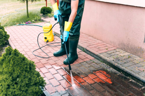 Best Pressure Washing Company Near Me  in Zephyrhills North, FL