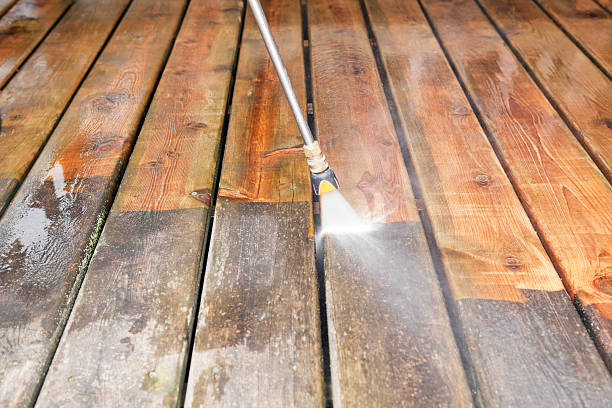 Best Roof Power Washing Services  in Zephyrhills North, FL