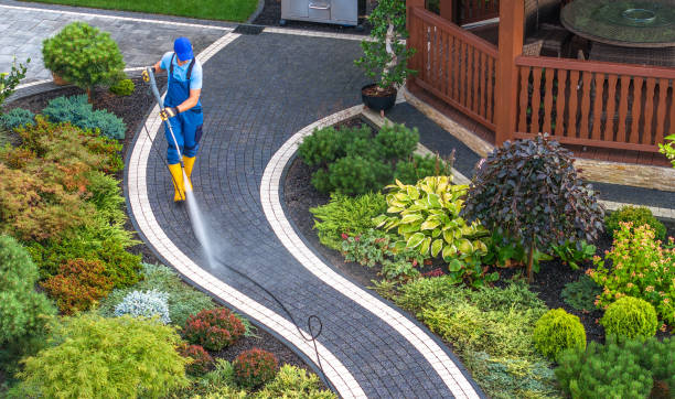 Best Power Washing Near Me  in Zephyrhills North, FL