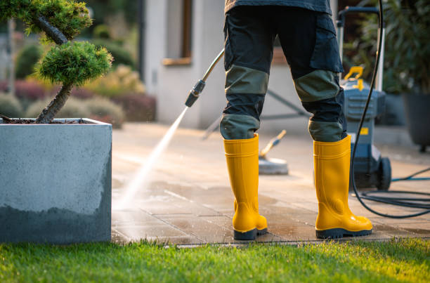 Best Affordable Pressure Washing  in Zephyrhills North, FL